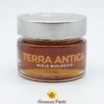 Terra Antica